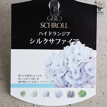 k*u様 アジサイ　8寸 シルクサファイア　紫陽花 ゆ*い様 アジサイ シルクサファイア 8寸 紫陽花 - メルカリ